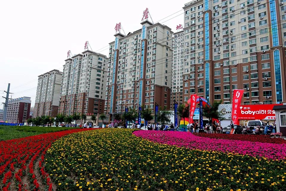 al凌海客户端ai凌海app下载入口-第2张图片-太平洋在线下载