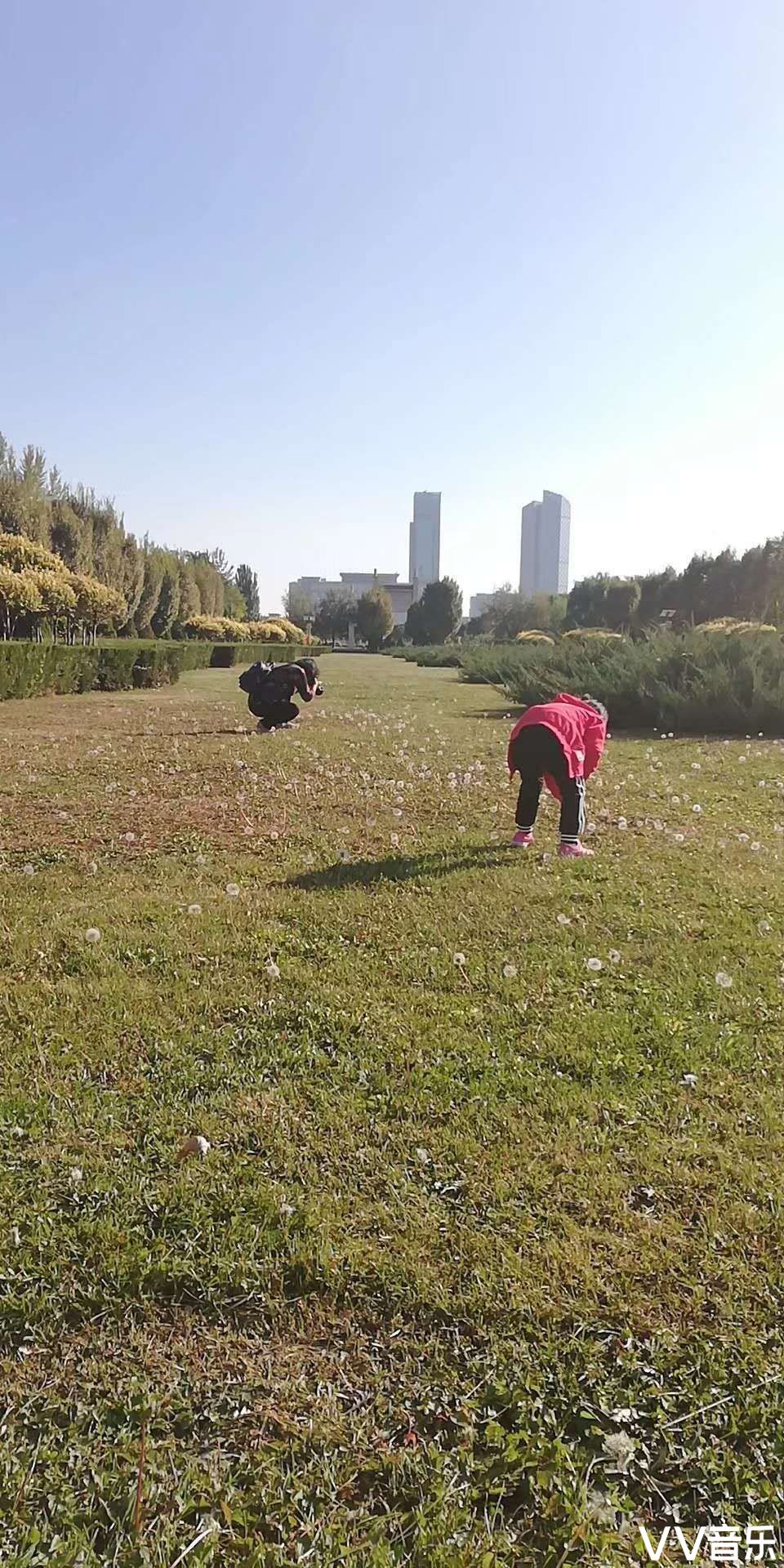 手机版vv手机vv下载