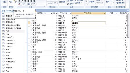 access移动客户端access管理系统下载